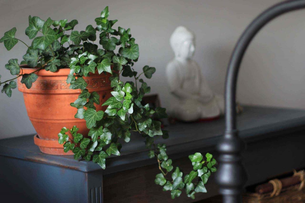 https://www.paligarden.hu/wp-content/uploads/2019/10/portfolio_07-1280x853.jpg